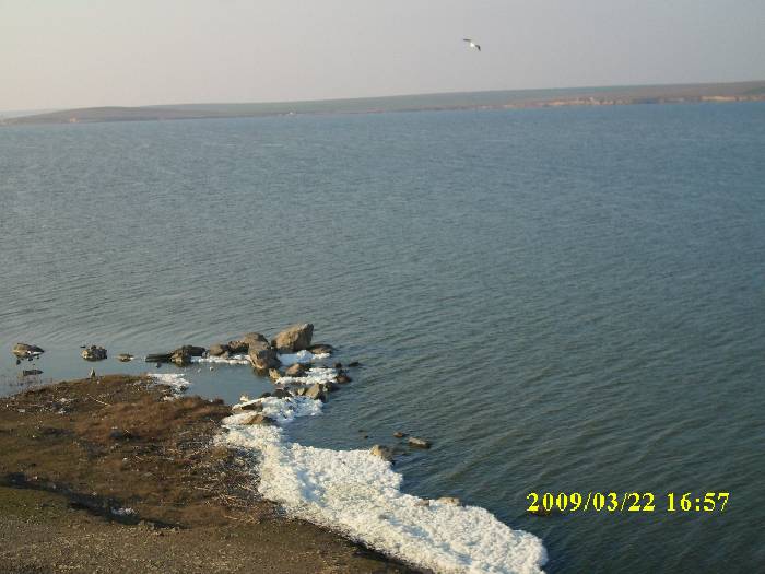 Lacul Tasaul