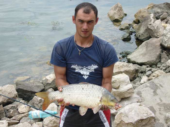 Crap 4 Kg, la Dunare la Pescari