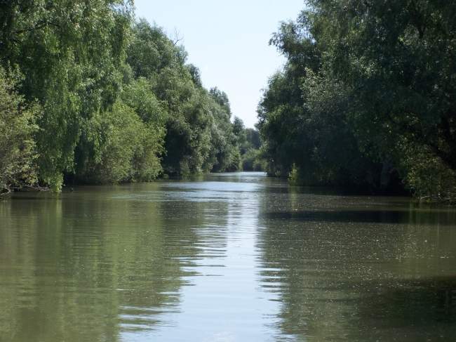 Canal in Delta